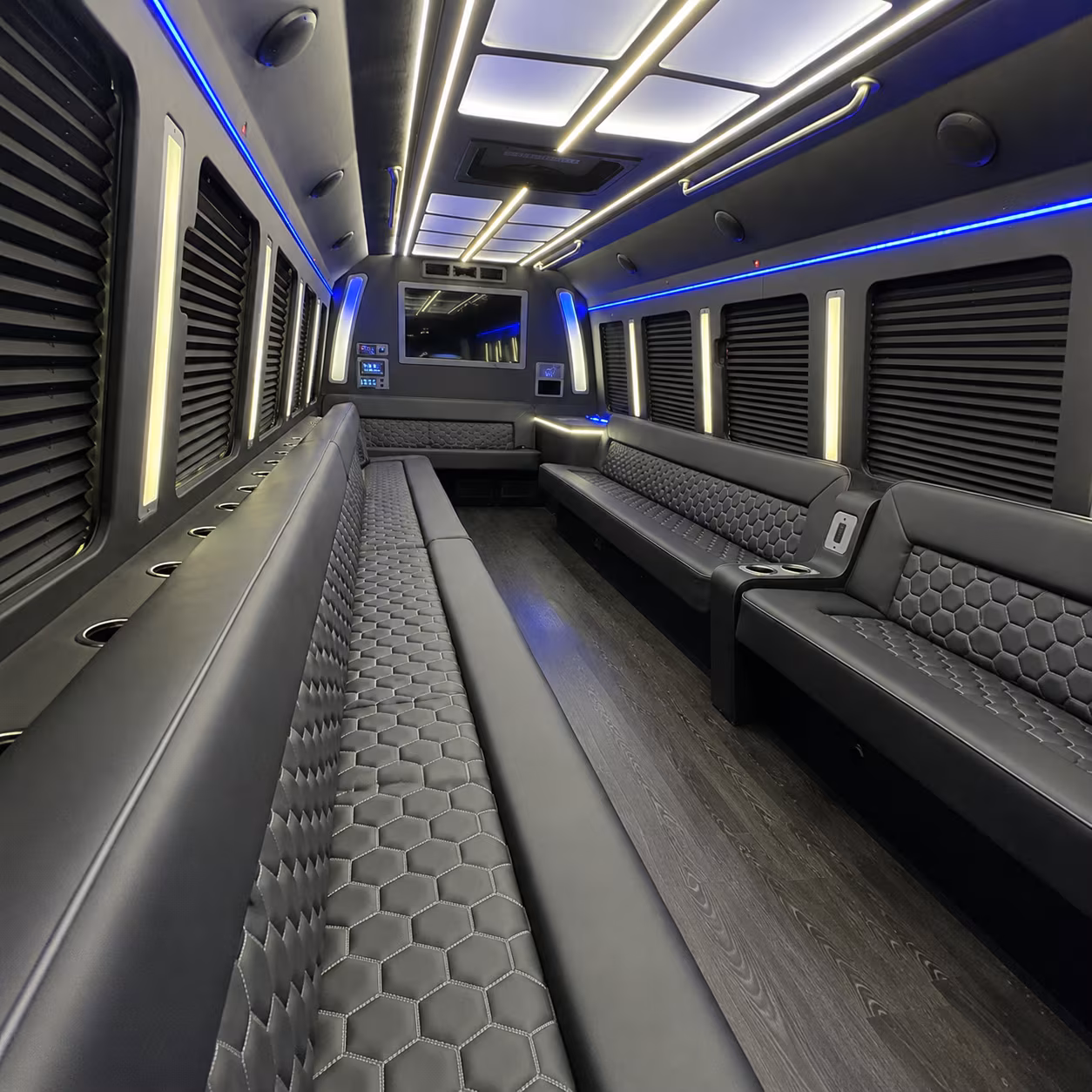 birthday party bus rental